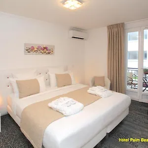Palm Hotel Cannes